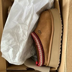 UGG TAZZ CHESTNUT